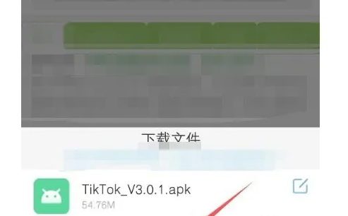 抖音国际版 tiktok