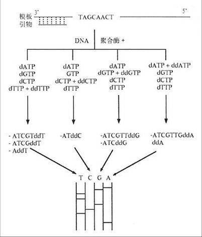 操作流程