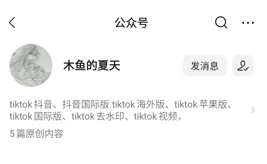 tiktok抖音国际版电脑