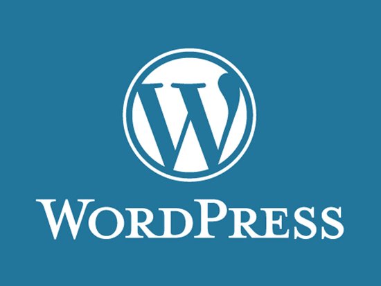 wordpress seo