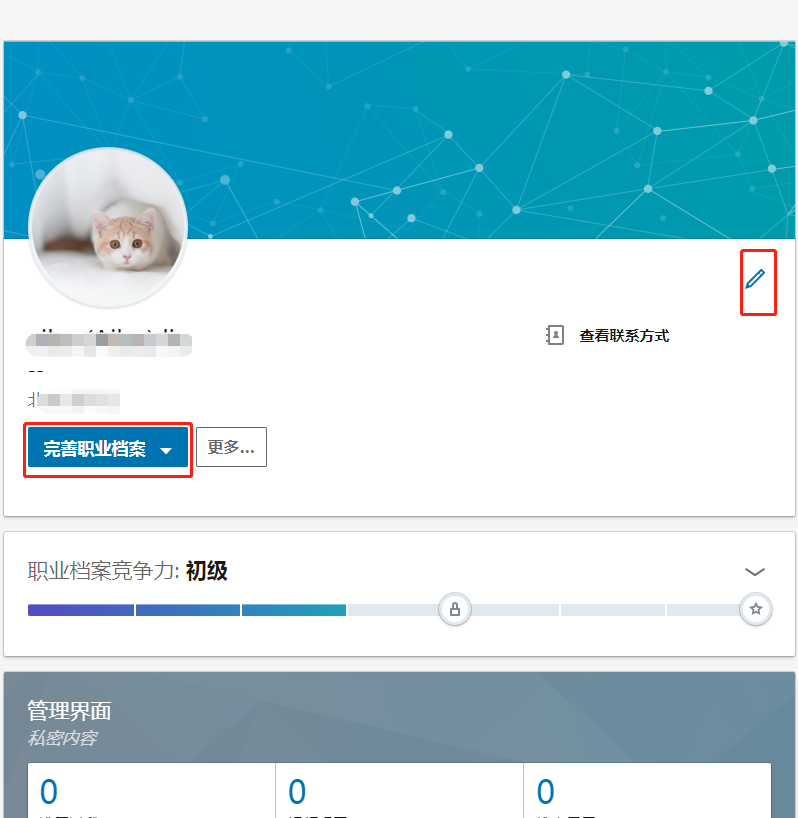 linkedin英文版官网