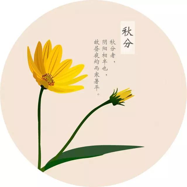 4月21号是什么节日