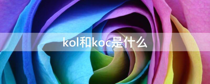 kol和koc是什么意思