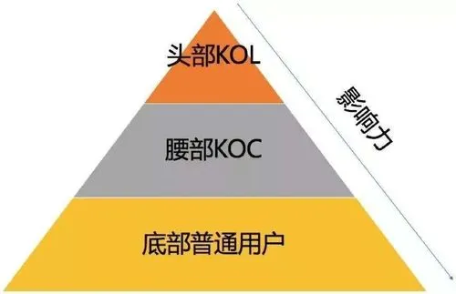 kol和koc是什么意思